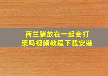 荷兰猪放在一起会打架吗视频教程下载安装