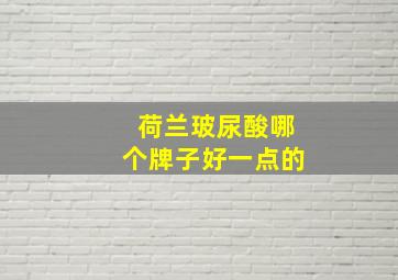 荷兰玻尿酸哪个牌子好一点的