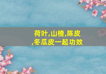 荷叶,山楂,陈皮,冬瓜皮一起功效