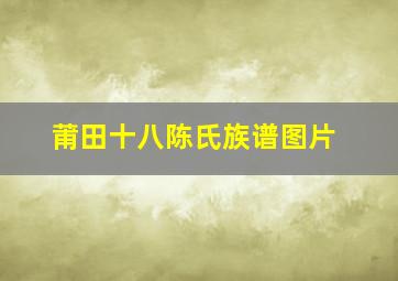 莆田十八陈氏族谱图片