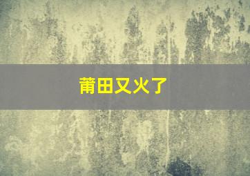 莆田又火了