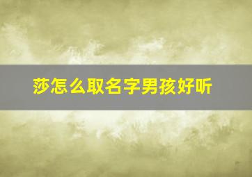 莎怎么取名字男孩好听