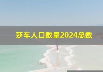 莎车人口数量2024总数