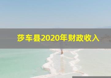 莎车县2020年财政收入