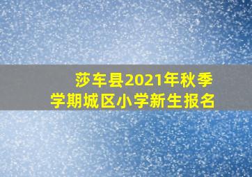 莎车县2021年秋季学期城区小学新生报名