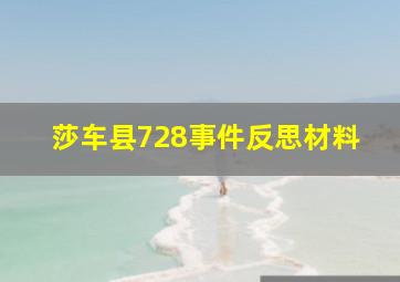 莎车县728事件反思材料