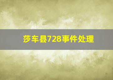 莎车县728事件处理