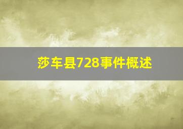 莎车县728事件概述