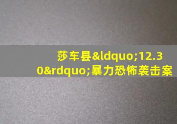 莎车县“12.30”暴力恐怖袭击案