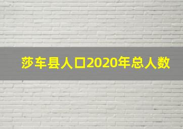 莎车县人口2020年总人数