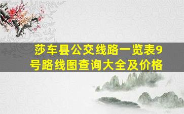 莎车县公交线路一览表9号路线图查询大全及价格