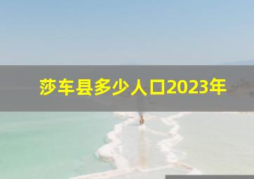 莎车县多少人口2023年