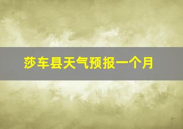 莎车县天气预报一个月