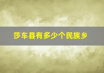 莎车县有多少个民族乡