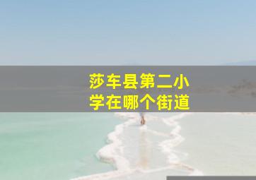 莎车县第二小学在哪个街道