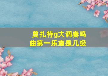 莫扎特g大调奏鸣曲第一乐章是几级