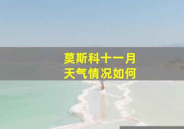 莫斯科十一月天气情况如何