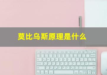 莫比乌斯原理是什么