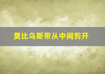 莫比乌斯带从中间剪开