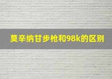 莫辛纳甘步枪和98k的区别