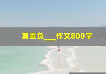 莫辜负___作文800字