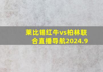 莱比锡红牛vs柏林联合直播导航2024.9