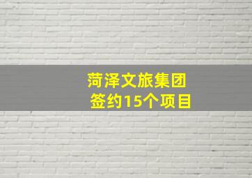 菏泽文旅集团签约15个项目