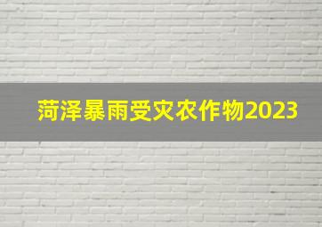 菏泽暴雨受灾农作物2023