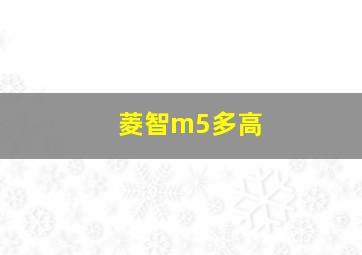 菱智m5多高