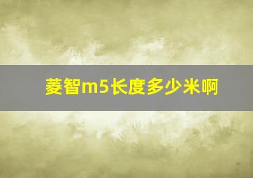 菱智m5长度多少米啊