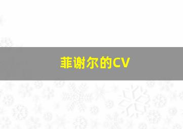 菲谢尔的CV