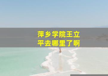 萍乡学院王立平去哪里了啊