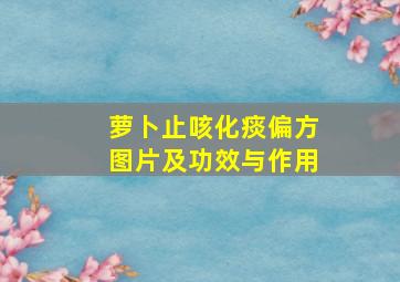 萝卜止咳化痰偏方图片及功效与作用