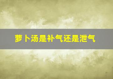 萝卜汤是补气还是泄气