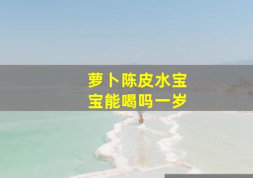 萝卜陈皮水宝宝能喝吗一岁