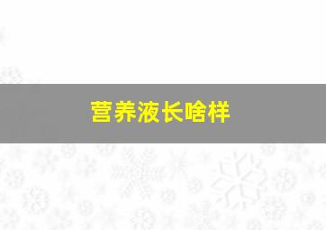 营养液长啥样