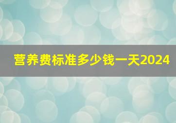 营养费标准多少钱一天2024