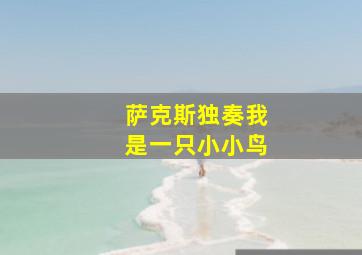 萨克斯独奏我是一只小小鸟