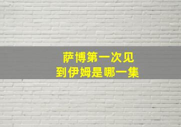 萨博第一次见到伊姆是哪一集