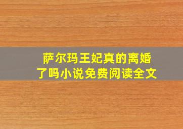 萨尔玛王妃真的离婚了吗小说免费阅读全文