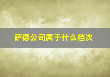 萨德公司属于什么档次