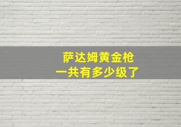 萨达姆黄金枪一共有多少级了