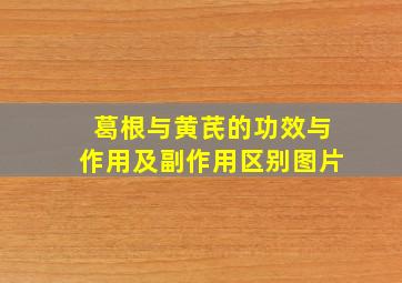 葛根与黄芪的功效与作用及副作用区别图片