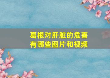 葛根对肝脏的危害有哪些图片和视频