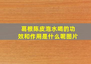 葛根陈皮泡水喝的功效和作用是什么呢图片