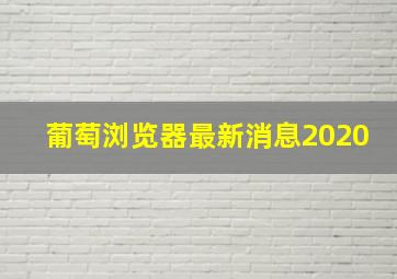 葡萄浏览器最新消息2020