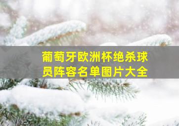 葡萄牙欧洲杯绝杀球员阵容名单图片大全