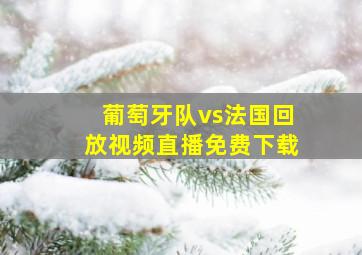 葡萄牙队vs法国回放视频直播免费下载