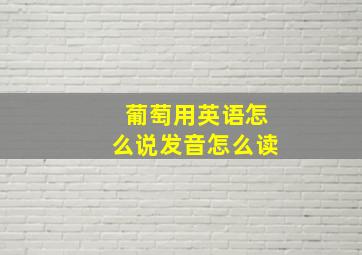 葡萄用英语怎么说发音怎么读