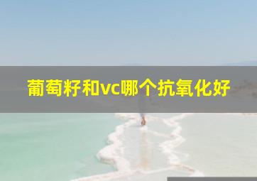 葡萄籽和vc哪个抗氧化好